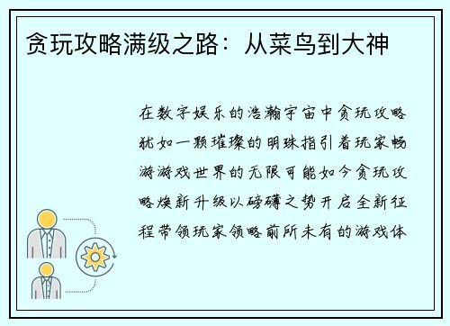 贪玩攻略满级之路：从菜鸟到大神